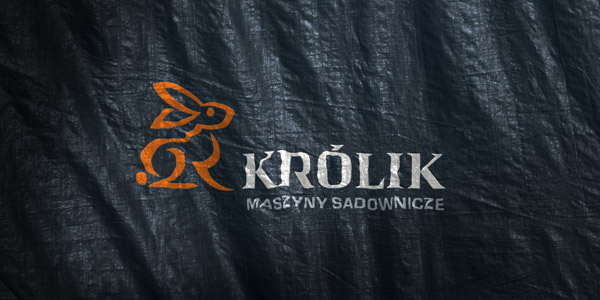 illustration case study Królik