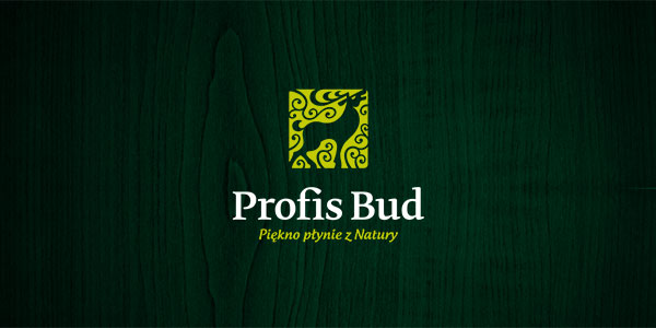 case study ProfisBud