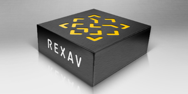 Rexav case study ilustration